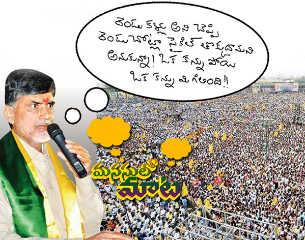 Seemandhra election results